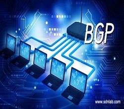 高防服務器租用線路的選擇-BGP高防服務器-嘉興BGP-全網(wǎng)互通性