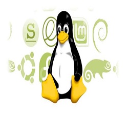 五個(gè)Linux簡(jiǎn)單命令幫你解決系統(tǒng)性能問題-服務(wù)器租用-宇眾網(wǎng)絡(luò)