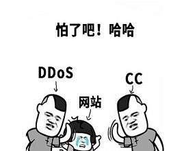 論SEO和防ddos攻擊的重要性-國內(nèi)高防服務(wù)器
